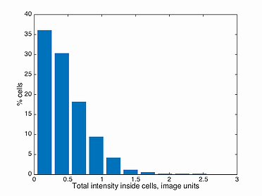 Responsive image