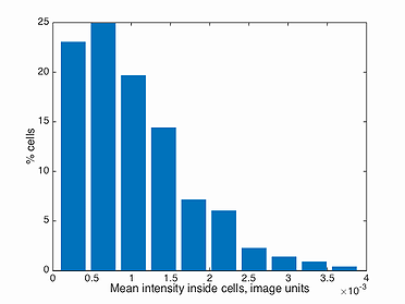 Responsive image